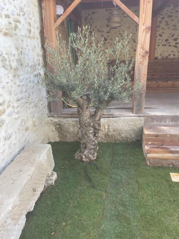 Drome Provencale Maison Familiale Calme Dans Village Valréas Exteriér fotografie